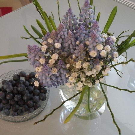 Apartment Vier Jahreszeiten Pilsum Krummhörn Extérieur photo
